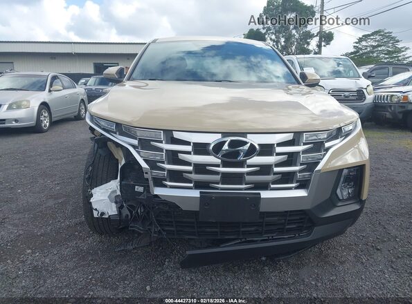 5NTJB4AE1RH090986 2024 HYUNDAI SANTA CRUZ Бежевый 