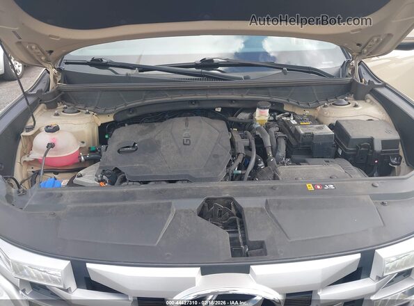 5NTJB4AE1RH090986 2024 HYUNDAI SANTA CRUZ Бежевый 