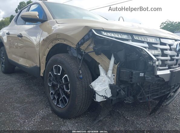5NTJB4AE1RH090986 2024 HYUNDAI SANTA CRUZ Бежевый 