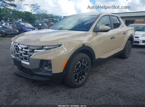5NTJB4AE1RH090986 2024 HYUNDAI SANTA CRUZ Бежевый 