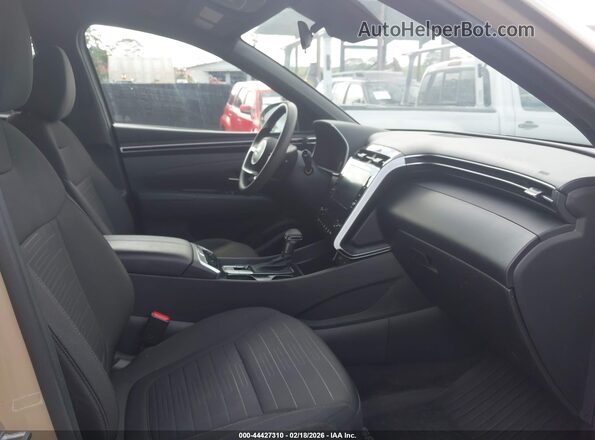 5NTJB4AE1RH090986 2024 HYUNDAI SANTA CRUZ Бежевый 