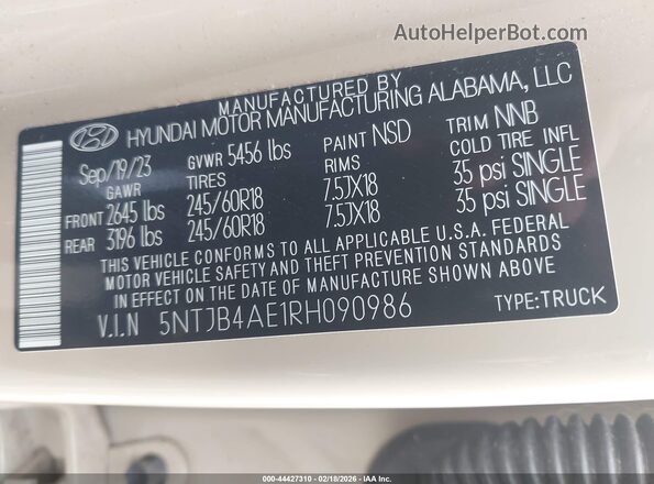 5NTJB4AE1RH090986 2024 HYUNDAI SANTA CRUZ Бежевый 