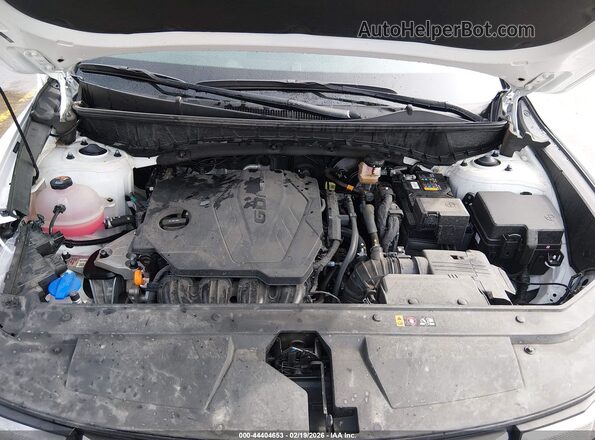 5NTJB4DE7SH129338 2025 HYUNDAI SANTA CRUZ White 