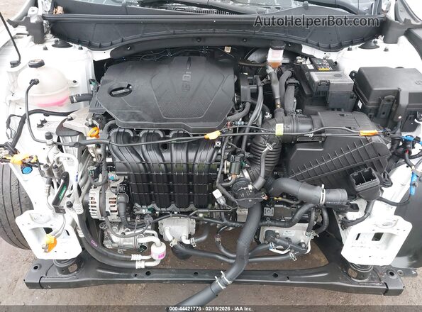 5NTJBDAEXNH027251 2022 HYUNDAI SANTA CRUZ White Widok z tyłu
