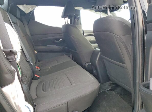 5NTJCDDF6RH116967 2024 HYUNDAI SANTA Black Vista de los asientos traseros