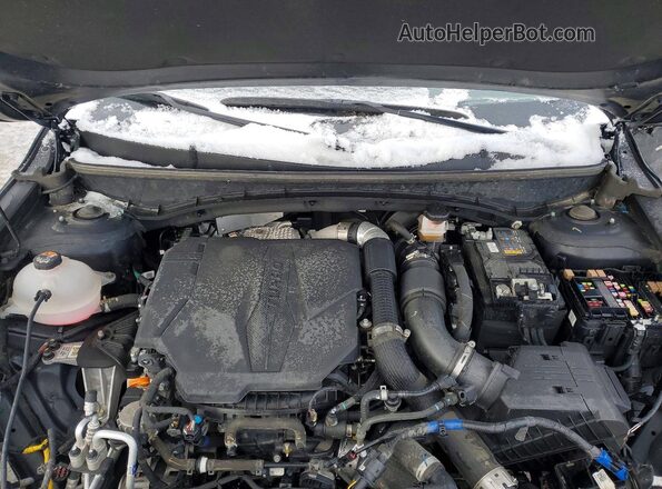 5NTJCDDF6RH116967 2024 HYUNDAI SANTA Black Vista interior trasera