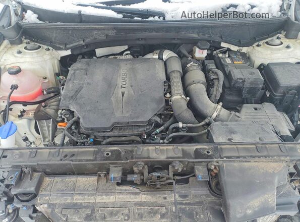 5NTJDDDF7RH106221 2024 HYUNDAI SANTA White უკანა სალონის ხედი