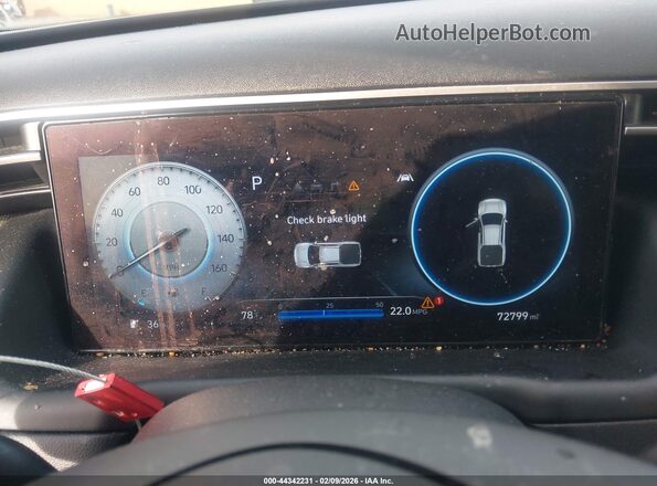 5NTJEDAF8PH043676 2023 HYUNDAI SANTA CRUZ White Widok tylnych siedzeń