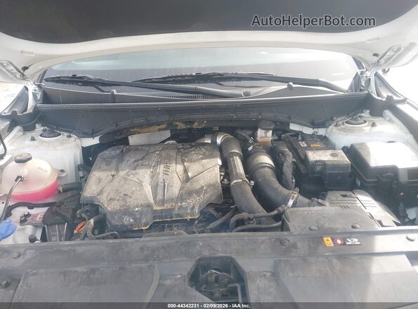 5NTJEDAF8PH043676 2023 HYUNDAI SANTA CRUZ White Widok z tyłu