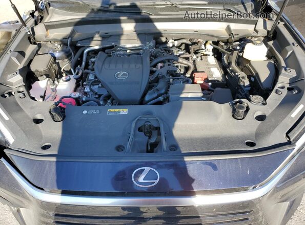5TDAAAB61SS025921 2025 LEXUS TX Blue 