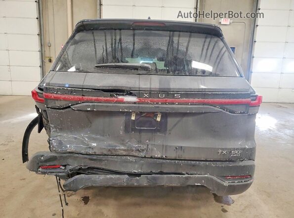 5TDAAAB64TS060745 2026 LEXUS TX Gray Widok z tyłu