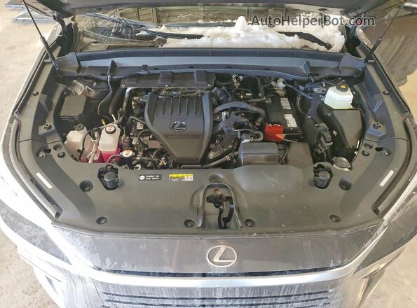 5TDAAAB64TS060745 2026 LEXUS TX Gray Widok komory silnika