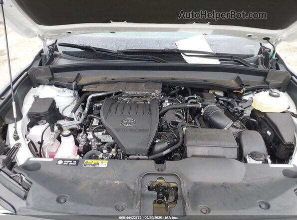 5TDADAB58SS014008 2025 TOYOTA LIMITED White Հետևի տեսք