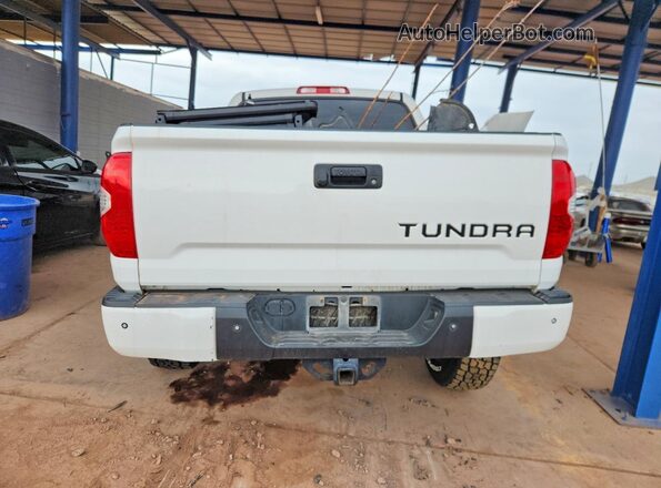 5TFDW5F16HX607777 2017 TOYOTA TUNDRA Белый Вид сзади