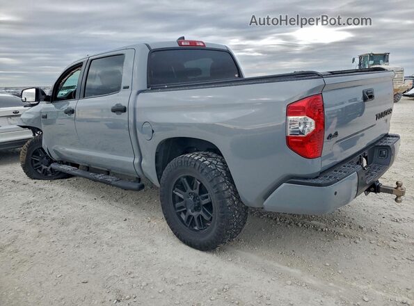 5TFDY5F13MX040285 2021 TOYOTA TUNDRA Silver 