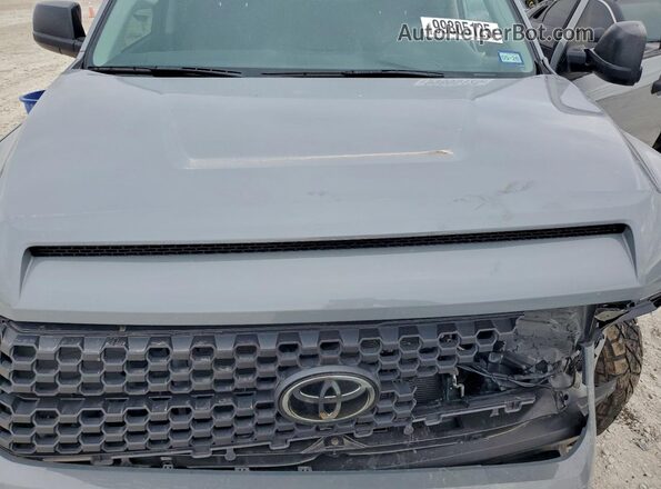 5TFDY5F13MX040285 2021 TOYOTA TUNDRA Silver 