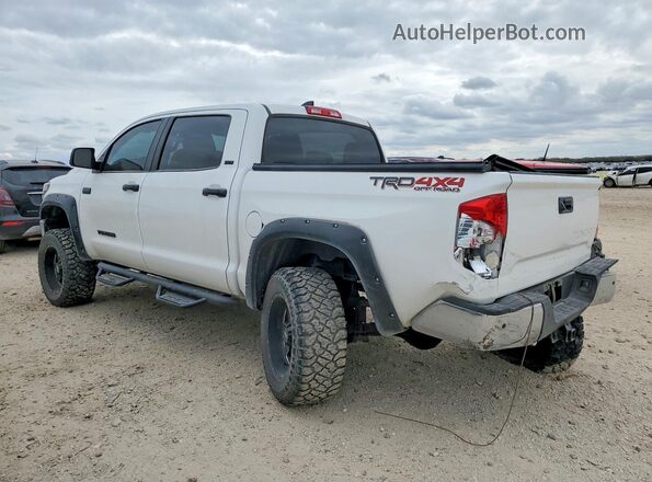 5TFDY5F16MX009807 2021 TOYOTA TUNDRA Белый 