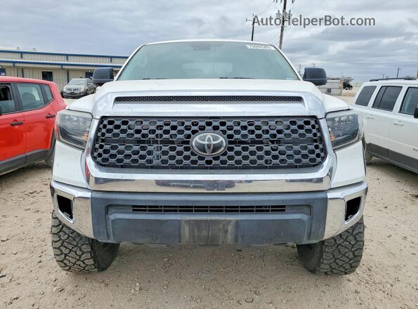 5TFDY5F16MX009807 2021 TOYOTA TUNDRA Белый 