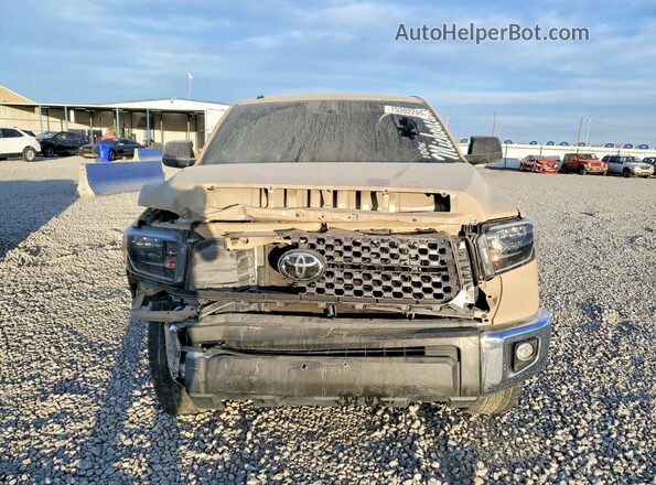 5TFDY5F18KX858396 2019 TOYOTA TUNDRA Tan 