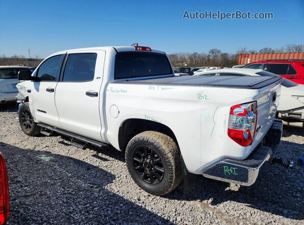 5TFDY5F1XMX978171 2021 TOYOTA TUNDRA White 