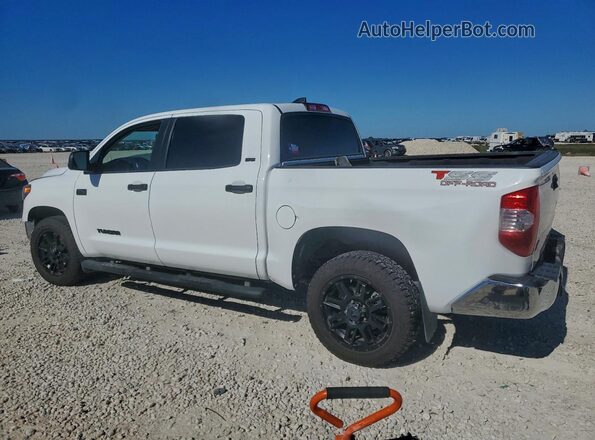 5TFEY5F16MX295811 2021 TOYOTA TUNDRA Белый 
