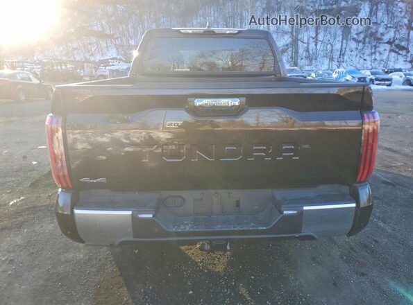 5TFJA5DB3SX320529 2025 TOYOTA LIMITED Brown 
