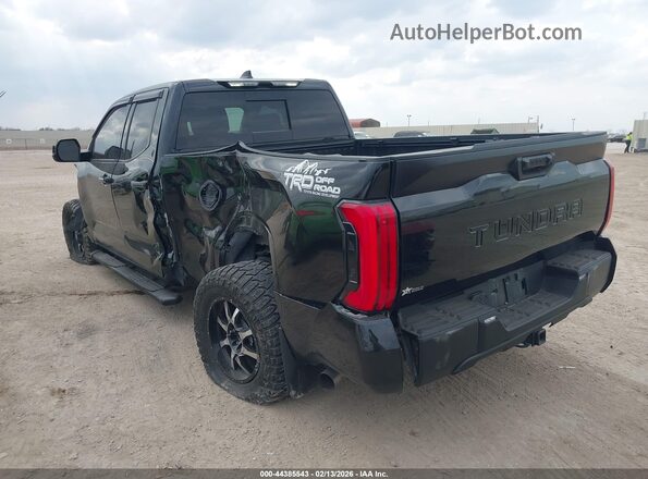 5TFKB5AA0PX024842 2023 TOYOTA TUNDRA Black უკანა მარცხენა