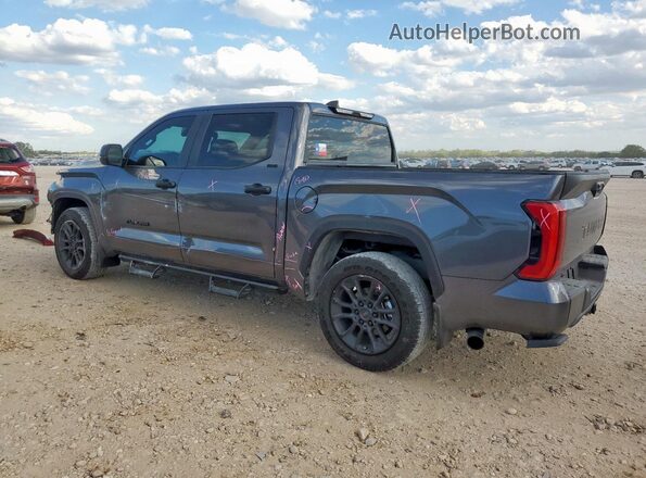 5TFLA5AB2SX044616 2025 TOYOTA TUNDRA Charcoal Задня ліва чверть