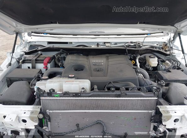 5TFLA5DAXRX178836 2024 TOYOTA TUNDRA Белый Вид сзади