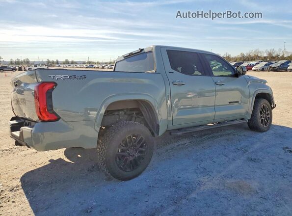 5TFLA5DB0PX085684 2023 TOYOTA TUNDRA Серый Задняя правая четверть
