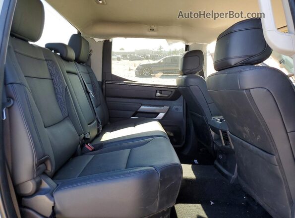 5TFLA5DB0PX085684 2023 TOYOTA TUNDRA Серый Вид задних сидений