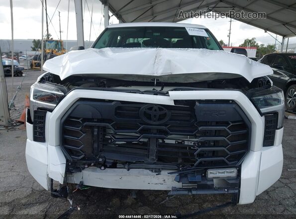 5TFLA5DB9RX149725 2024 TOYOTA TUNDRA White 