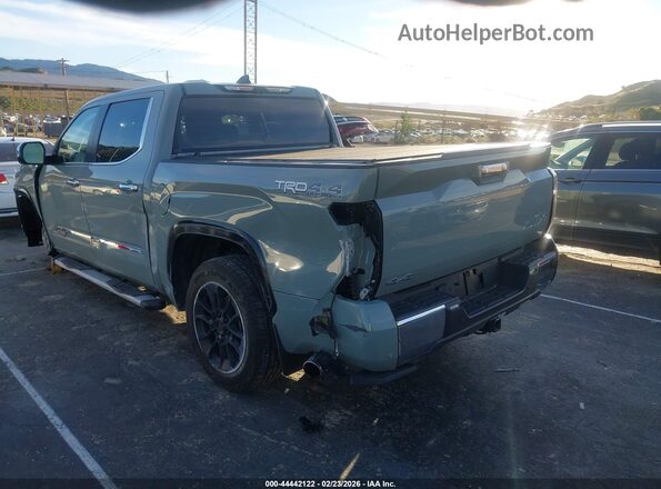 5TFMA5DB0SX310389 2025 TOYOTA TUNDRA Зеленый Задняя левая четверть