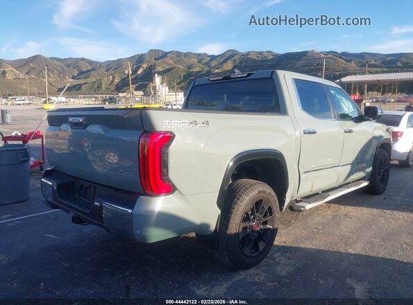 5TFMA5DB0SX310389 2025 TOYOTA TUNDRA Зеленый Задняя правая четверть
