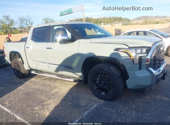 5TFMA5DB0SX310389 2025 TOYOTA TUNDRA Зеленый Вид задней части салона
