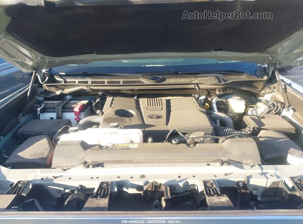 5TFMA5DB0SX310389 2025 TOYOTA TUNDRA Зеленый Вид сзади