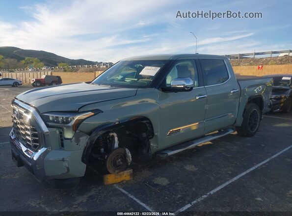 5TFMA5DB0SX310389 2025 TOYOTA TUNDRA Зеленый Панорамный вид салона 360°