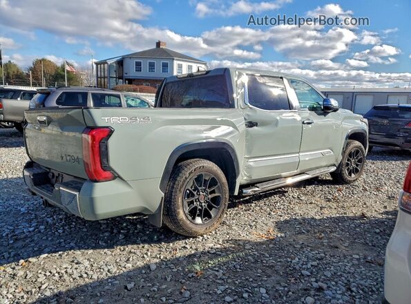 5TFMA5DB1SX302480 2025 TOYOTA TUNDRA Gray 