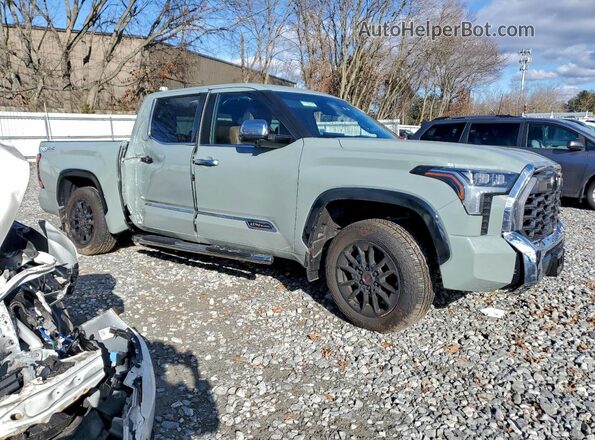 5TFMA5DB1SX302480 2025 TOYOTA TUNDRA Gray 