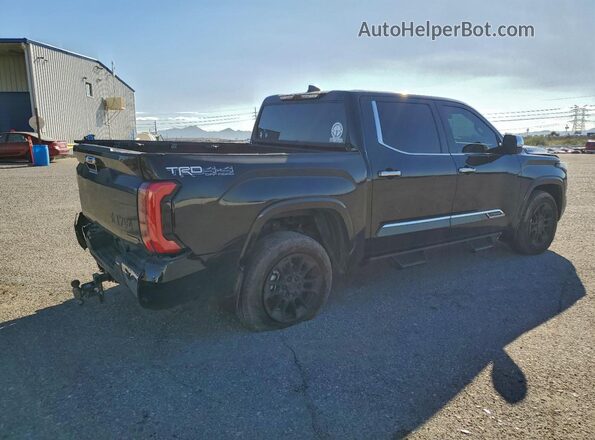5TFMC5DB1SX107120 2025 TOYOTA TUNDRA Black 