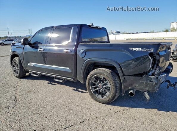 5TFMC5DB1SX107120 2025 TOYOTA TUNDRA Black 