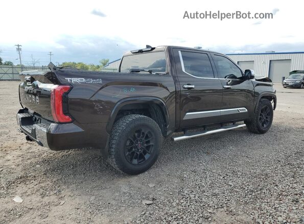 5TFMC5DB3PX022299 2023 TOYOTA TUNDRA Коричневый Задняя правая четверть
