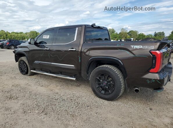 5TFMC5DB3PX022299 2023 TOYOTA TUNDRA Коричневый Задняя левая четверть