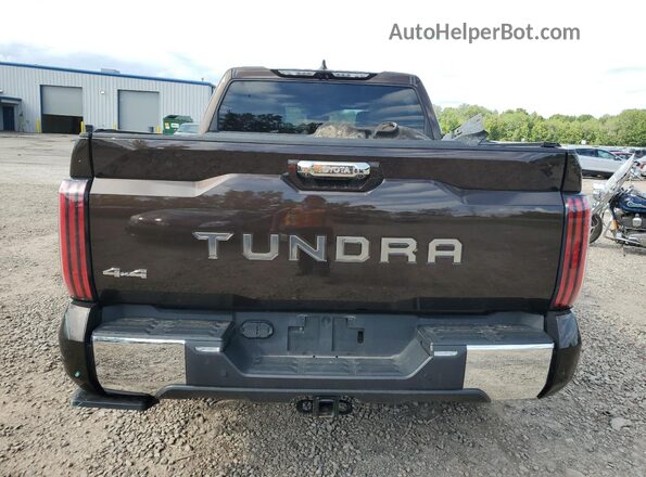 5TFMC5DB3PX022299 2023 TOYOTA TUNDRA Коричневый Вид сзади