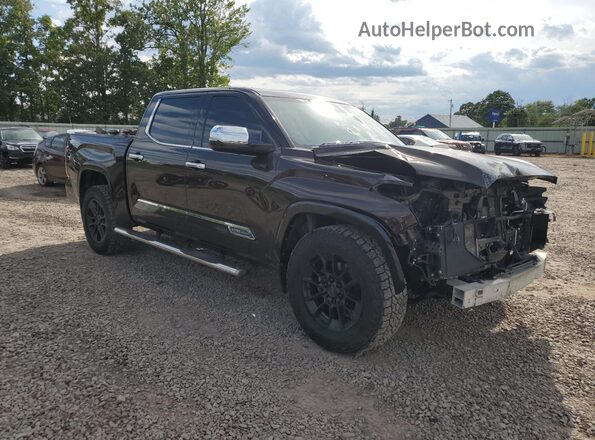 5TFMC5DB3PX022299 2023 TOYOTA TUNDRA Коричневый Передняя правая четверть