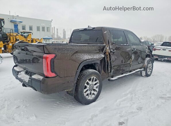 5TFMC5DB4PX022652 2023 TOYOTA TUNDRA Brown Հետևի աջ
