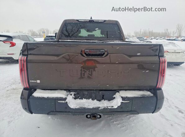 5TFMC5DB4PX022652 2023 TOYOTA TUNDRA Brown Հետևի տեսք