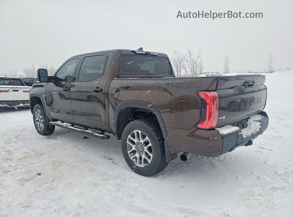 5TFMC5DB4PX022652 2023 TOYOTA TUNDRA Brown Հետևի ձախ