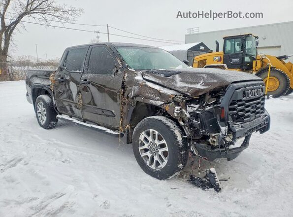 5TFMC5DB4PX022652 2023 TOYOTA TUNDRA Brown Առջևի աջ