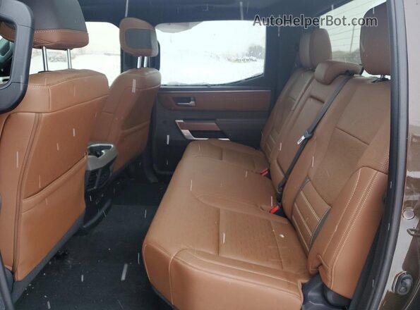 5TFMC5DB4PX022652 2023 TOYOTA TUNDRA Brown Սալոնի հետևի տեսք